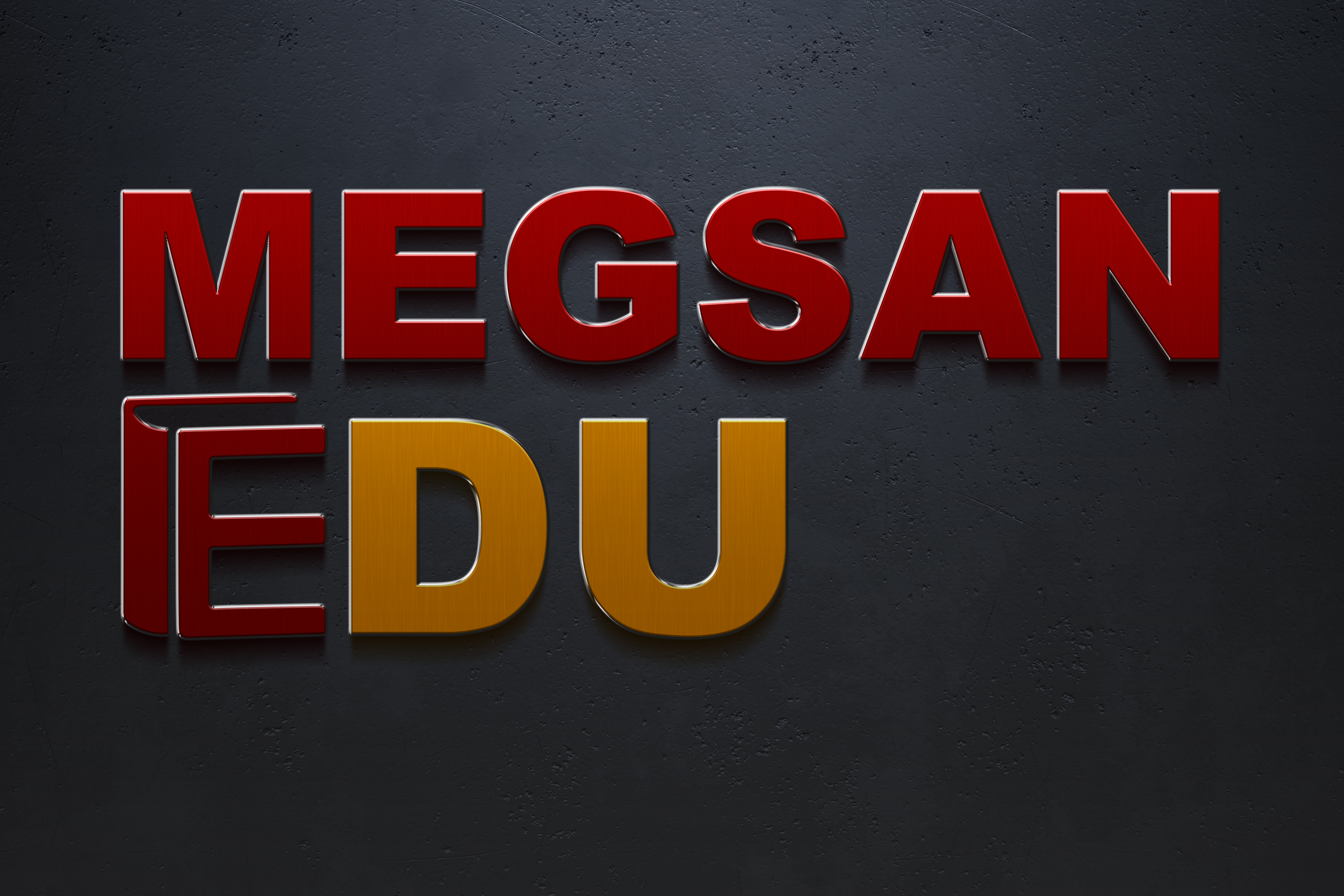 Megsan Edu Logo
